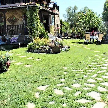 Artistic Halkidiki *